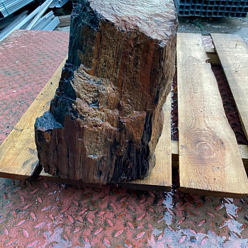 Бутовый камень "Окаменелое дерево" фр. 50-100 см