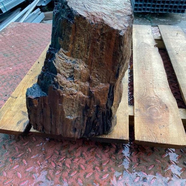 Бутовый камень "Окаменелое дерево" фр. 50-100 см