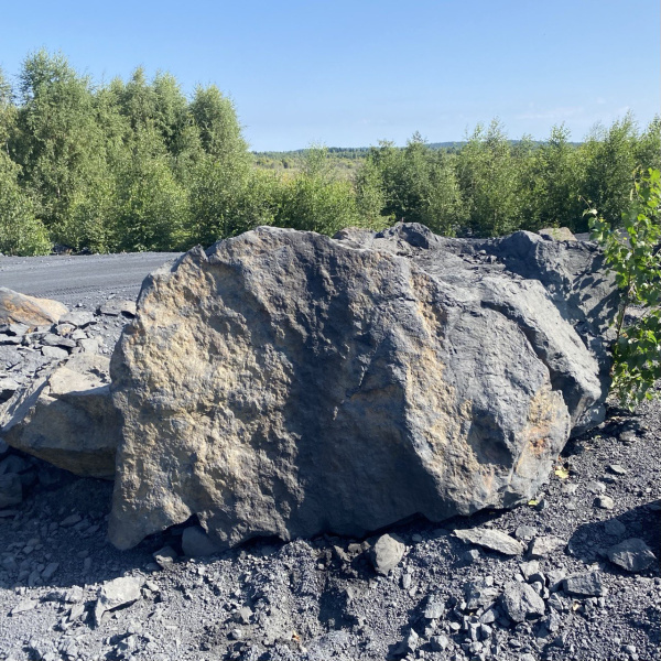 Шунгит фр. 200+ см