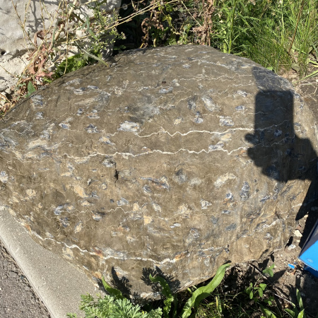 Глыба "Черепаха"