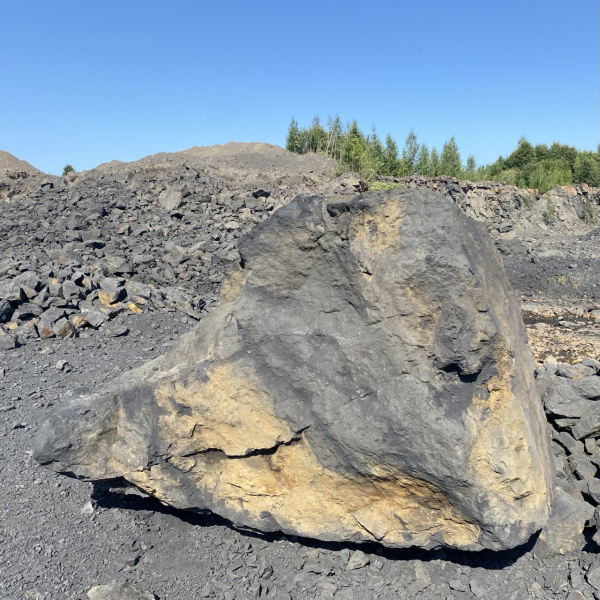 Шунгит фр. 200+ см