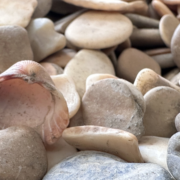 Галька морская "Фантазия" фр. 10-20 мм