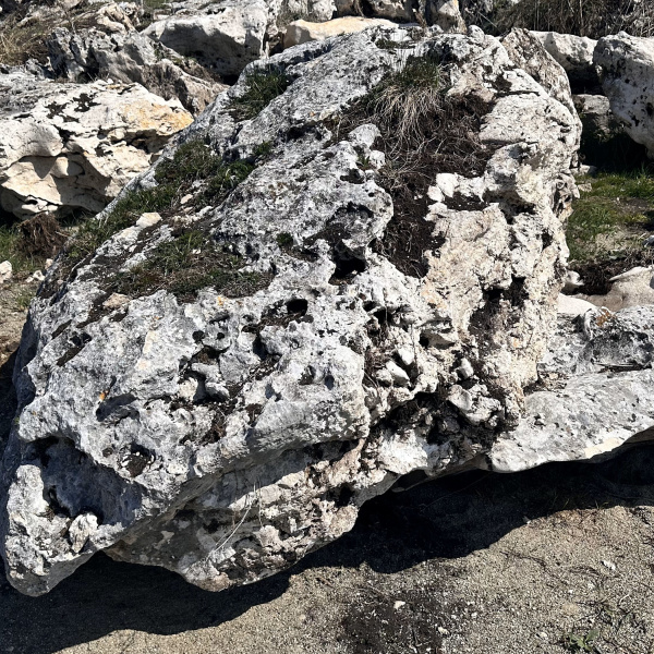 Валуны с мхом