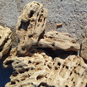 Валун галтованный меотис (крымский ракушечник) фр. 40-70 см