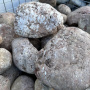 Валун речной "Пион" фр. 20-40 см