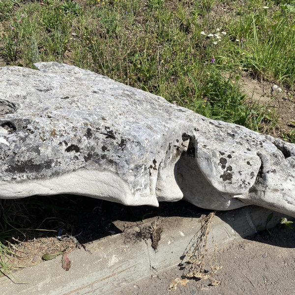 Валун "Эльбрус" (выветренный известняк) фр. 50-100 см