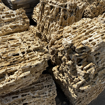 Валун меотис (крымский ракушечник) фр. 50-100 см